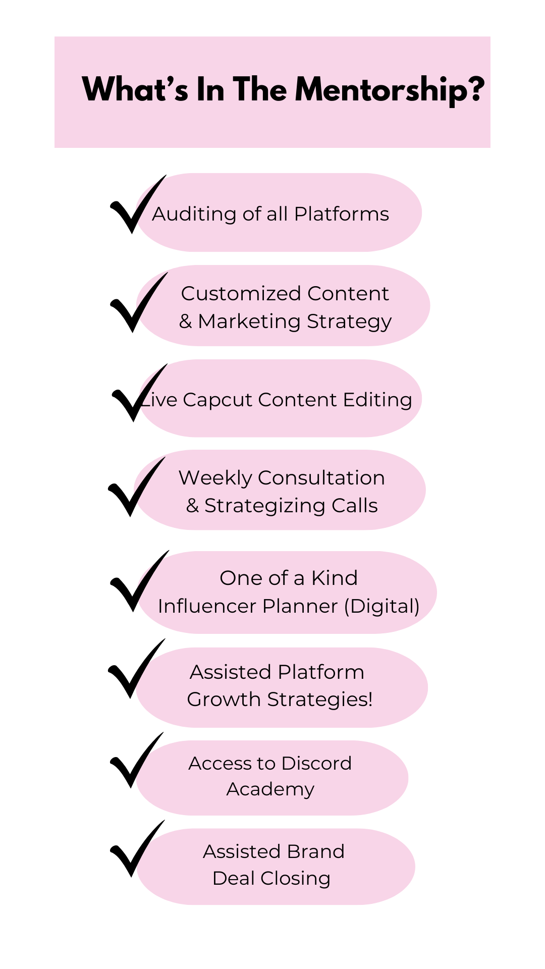 HWB Influencer Academy 101 Mentorship