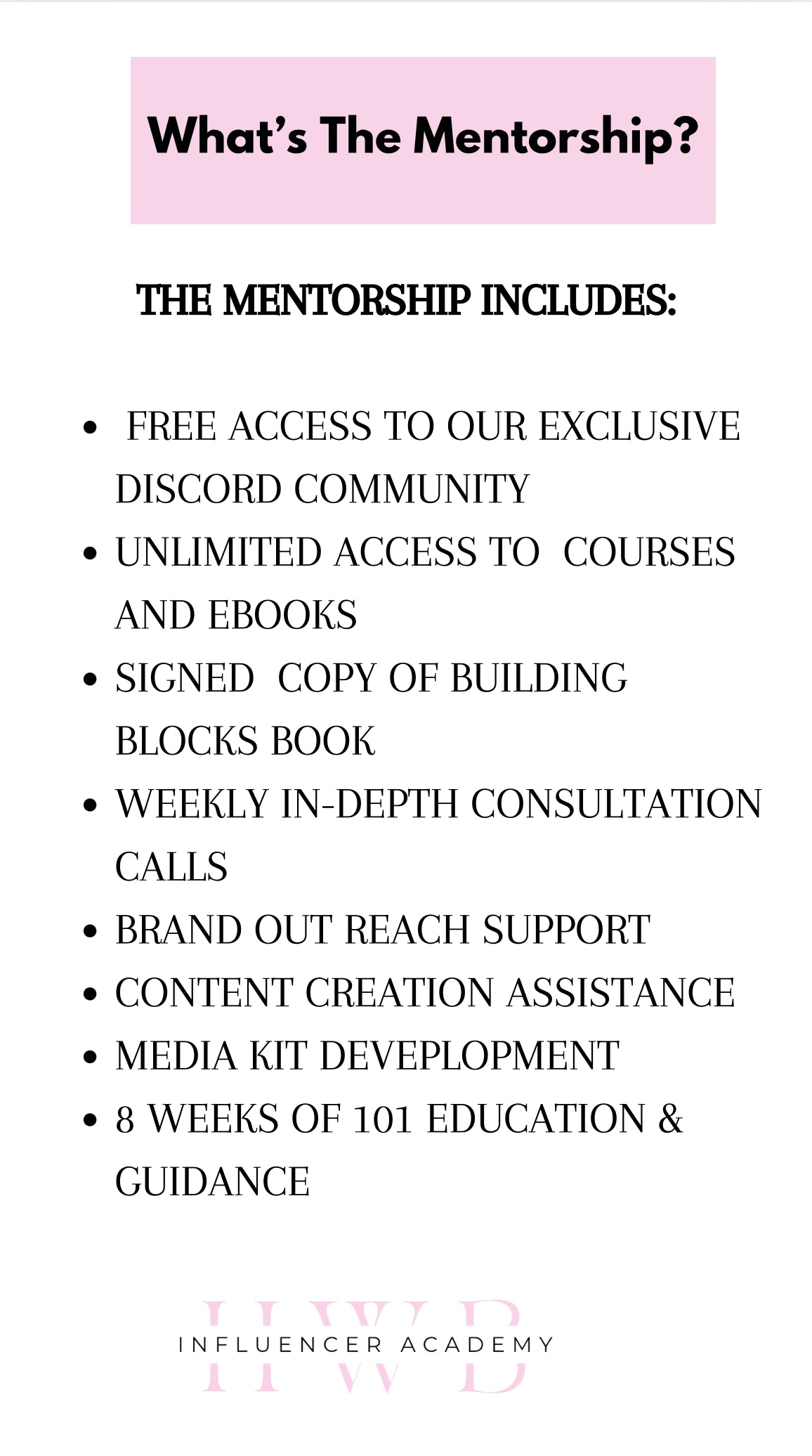 HWB Influencer Academy 101 Mentorship